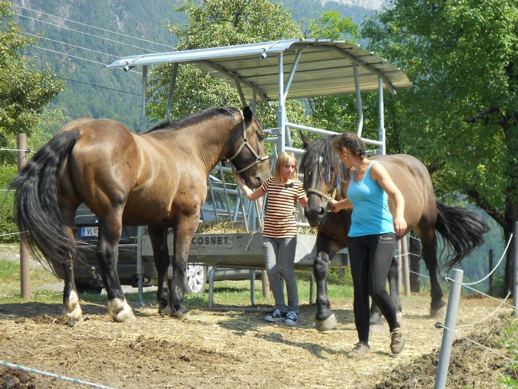 Ferienwohnung Andritsch Sankt Georgen im Gailtal Exterior foto