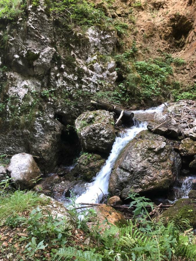 Ferienwohnung Andritsch Sankt Georgen im Gailtal Exterior foto
